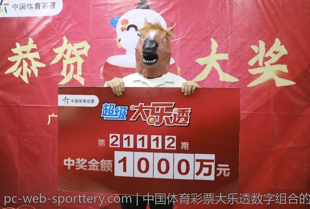 中国体育彩票大乐透数字组合的研究